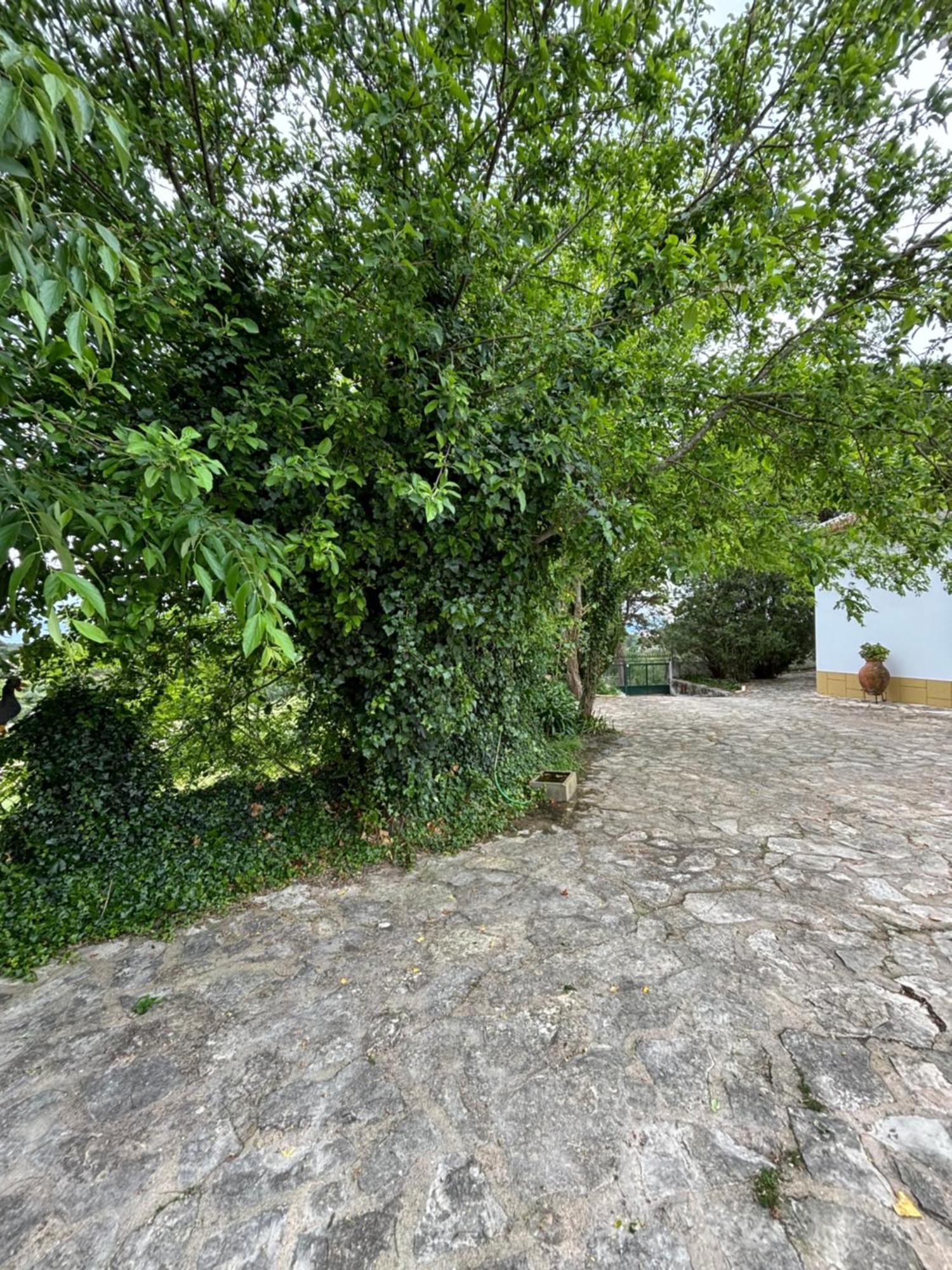 Casa Da Nogueira Villa Tomar Kültér fotó