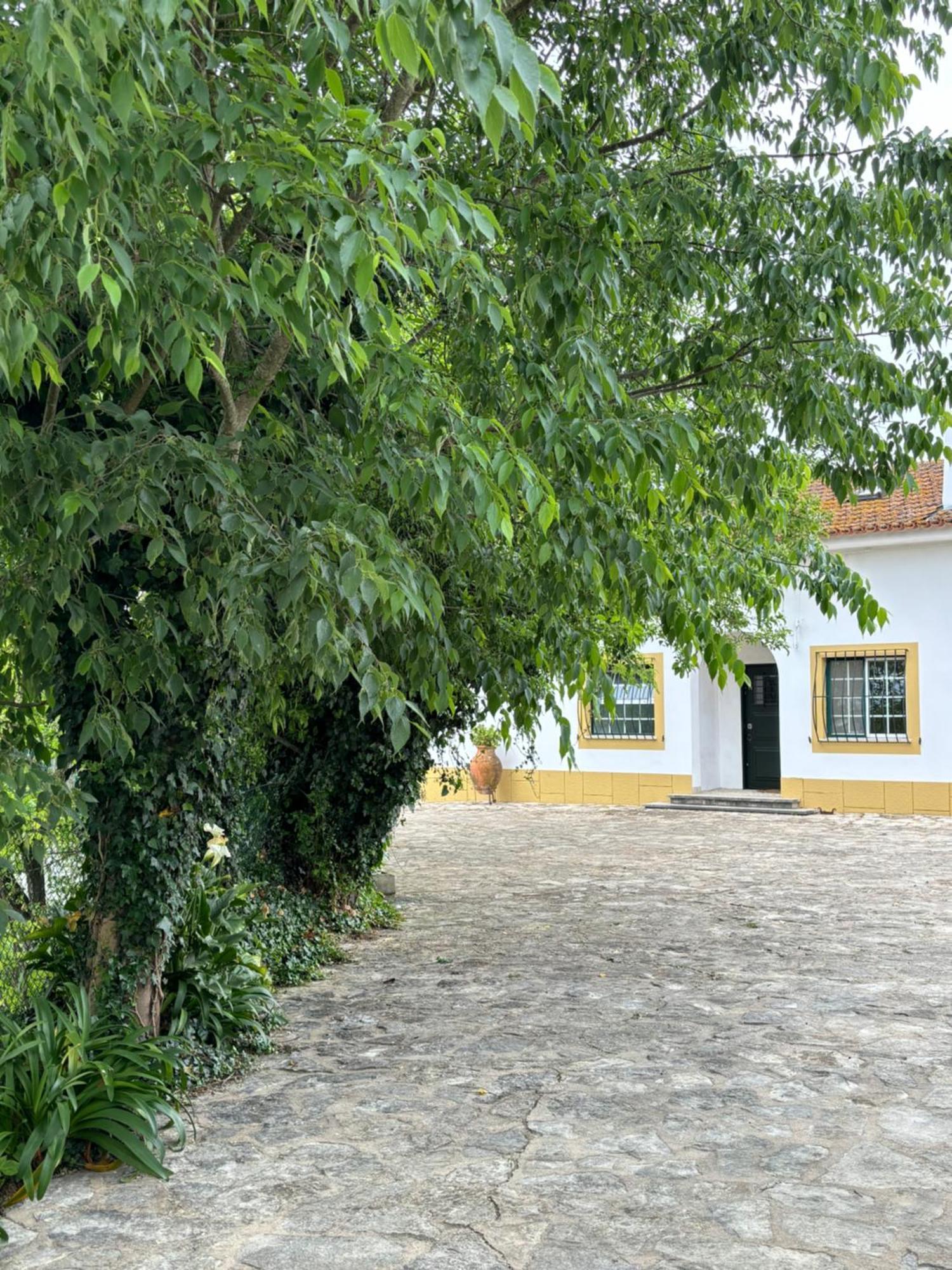Casa Da Nogueira Villa Tomar Kültér fotó