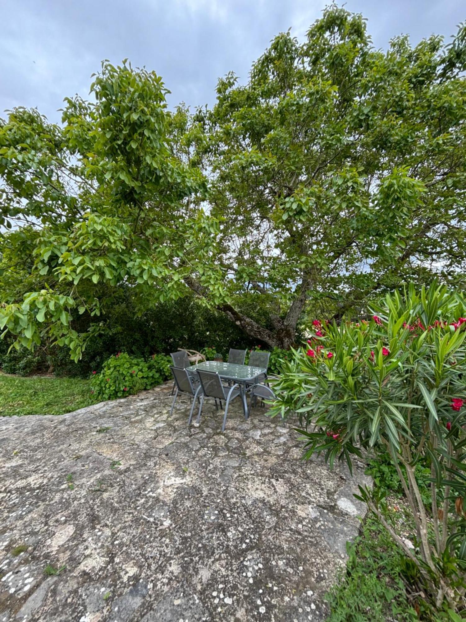Casa Da Nogueira Villa Tomar Kültér fotó